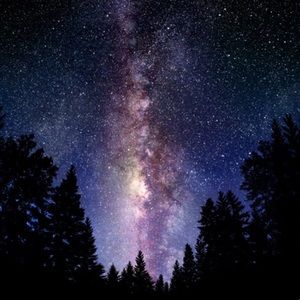 Meet your Posher, Carolyn